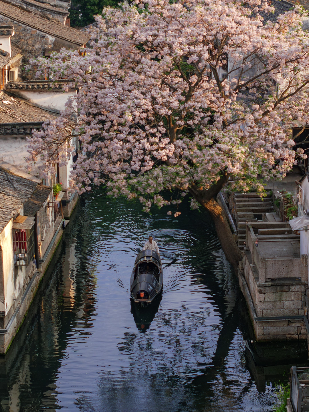 朋友说，我拍出了鲁迅笔下的故乡风情！