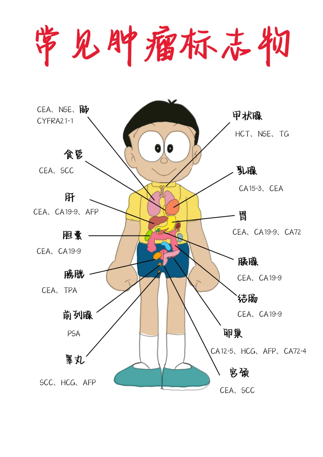 学习笔记——常见肿瘤标志物+防范风险