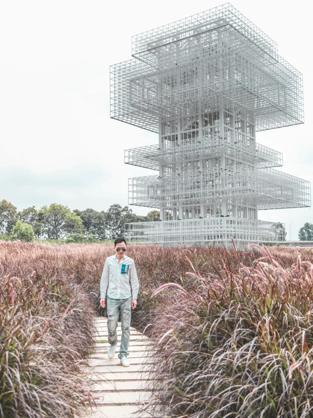 紫色的花海吹动少年的心｜广佛0元浪漫拍照地