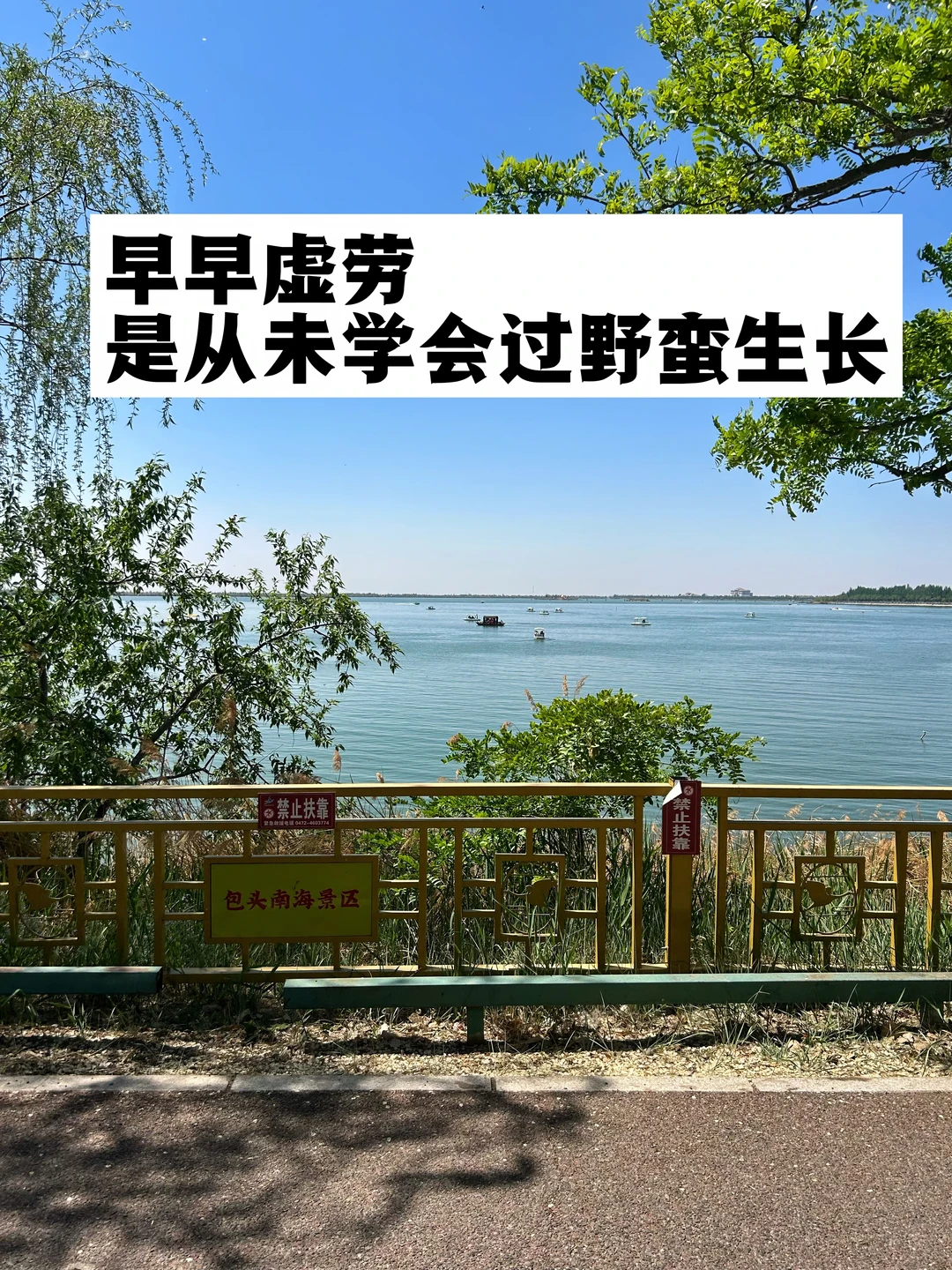 之所以早早虚劳，是从未学会过野蛮生长.