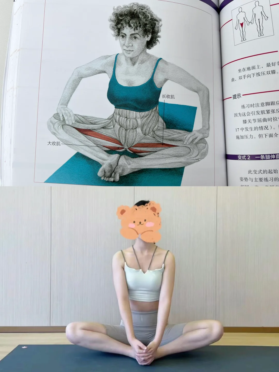 我悟了！大腿粗的都去练！