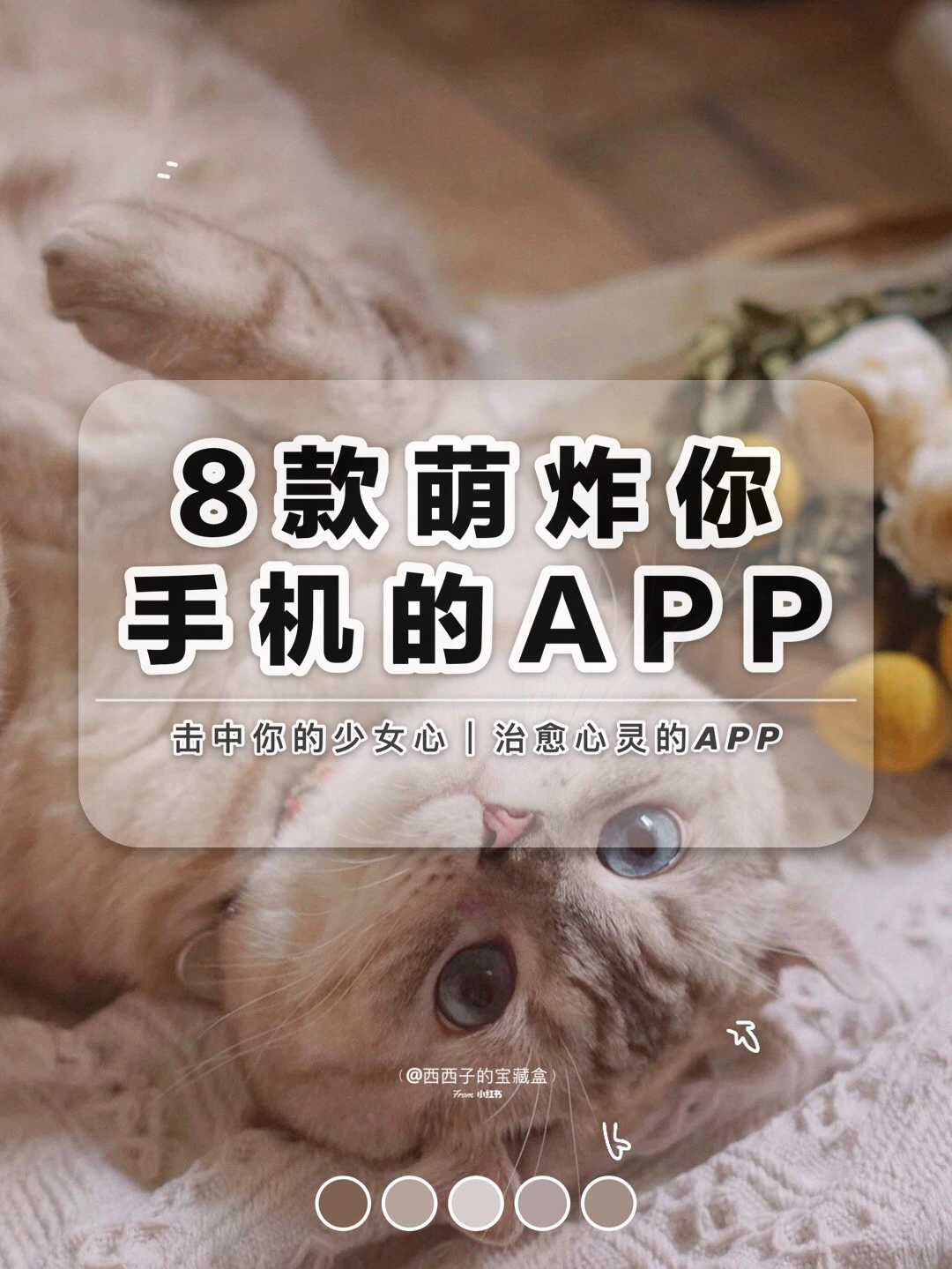 8款「萌炸」你手机的实用治愈APP｜🐈喵嗷～