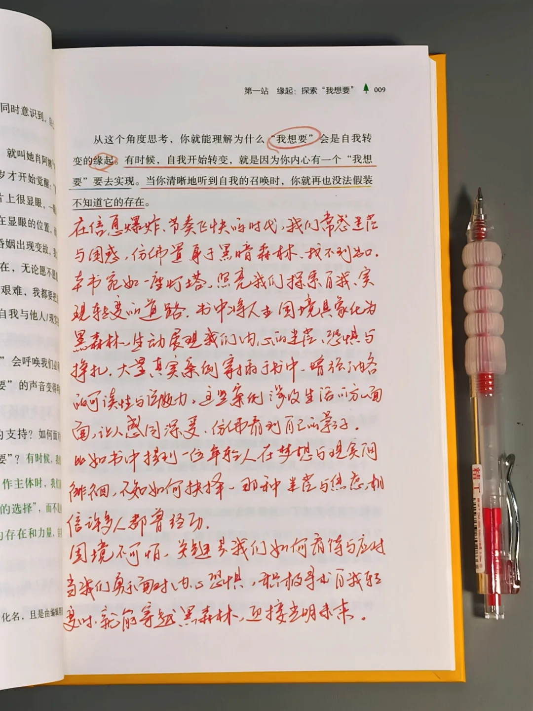 读哭了😭这是我今年读过最好的心理书！