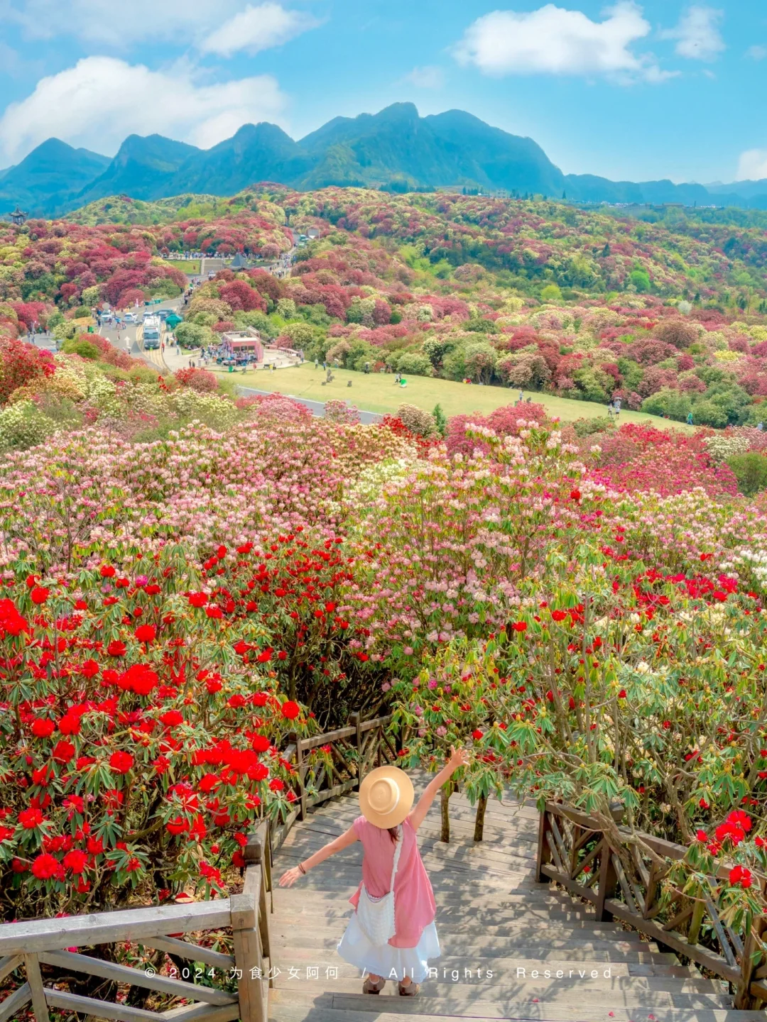 高铁直达！贵州漫山花海，简直美出next level