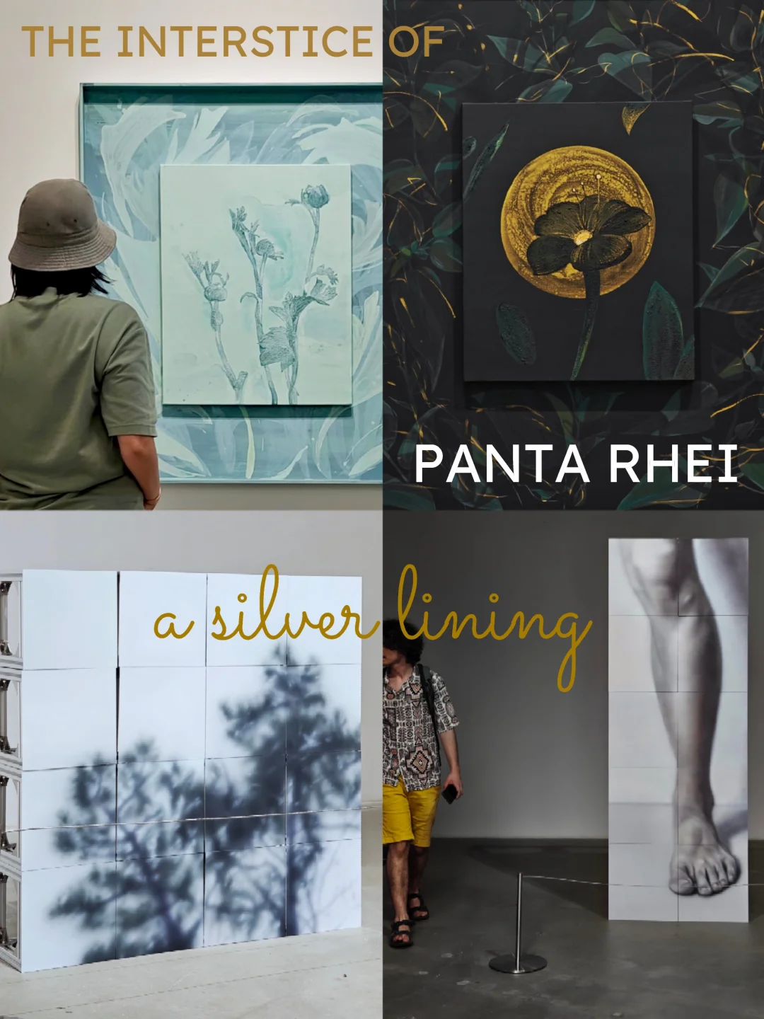 新展速报｜M50近期值得看的两个展