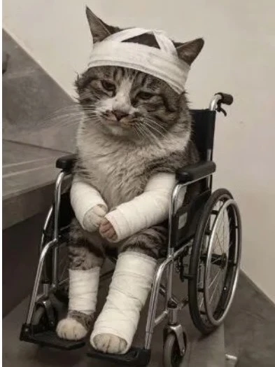 黄金杀人了