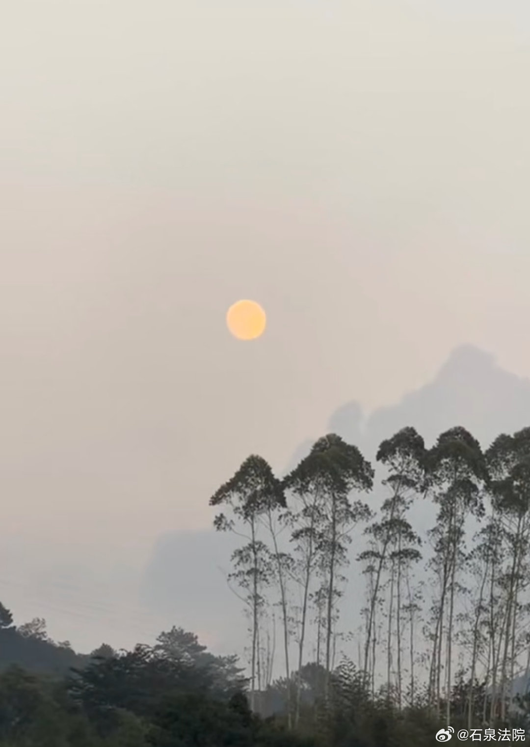 #晚安[超话]# 愿你保持热爱，奔赴山海。不慌张，不放弃， 一步一步靠近想要的生活。晚安🌷#晚安##晚安心语# ​