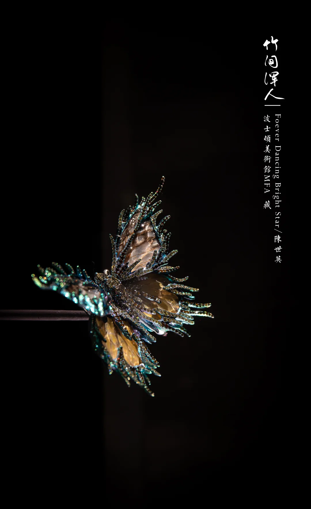 波士顿的黑夜中，我看到一只翩飞的中国蝴蝶