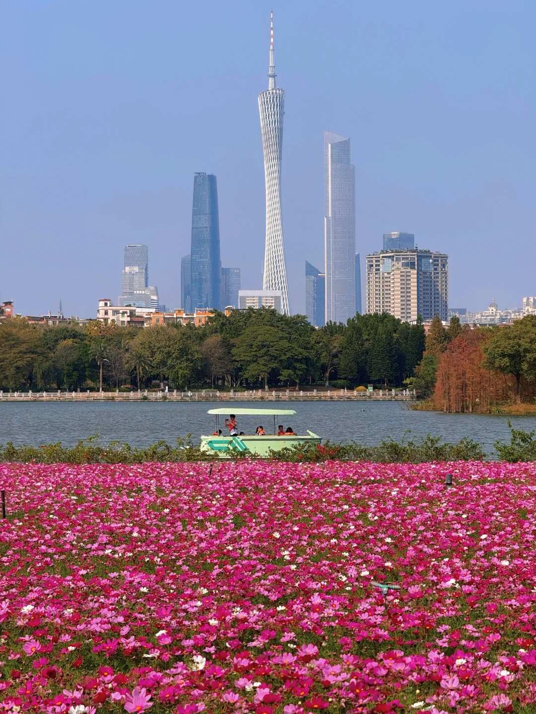 2.7实况live🌸 花城春天的第①份浪漫已送达