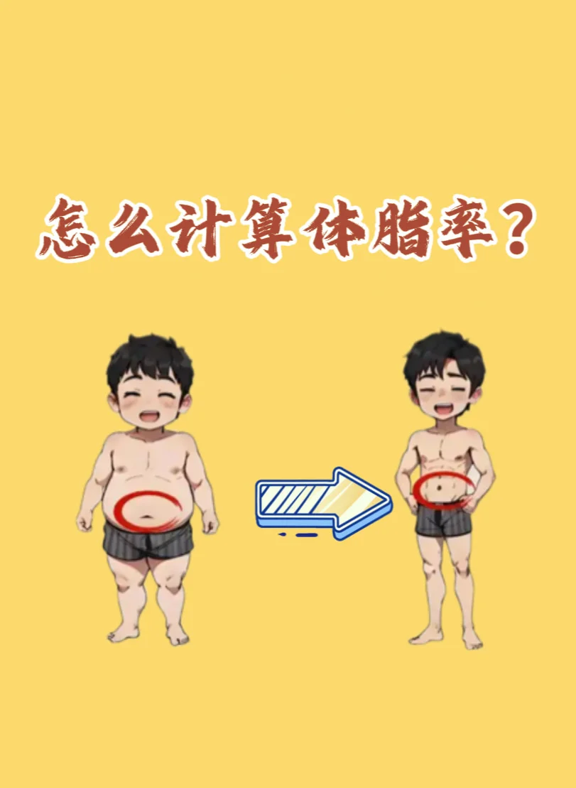 怎么计算体脂率？