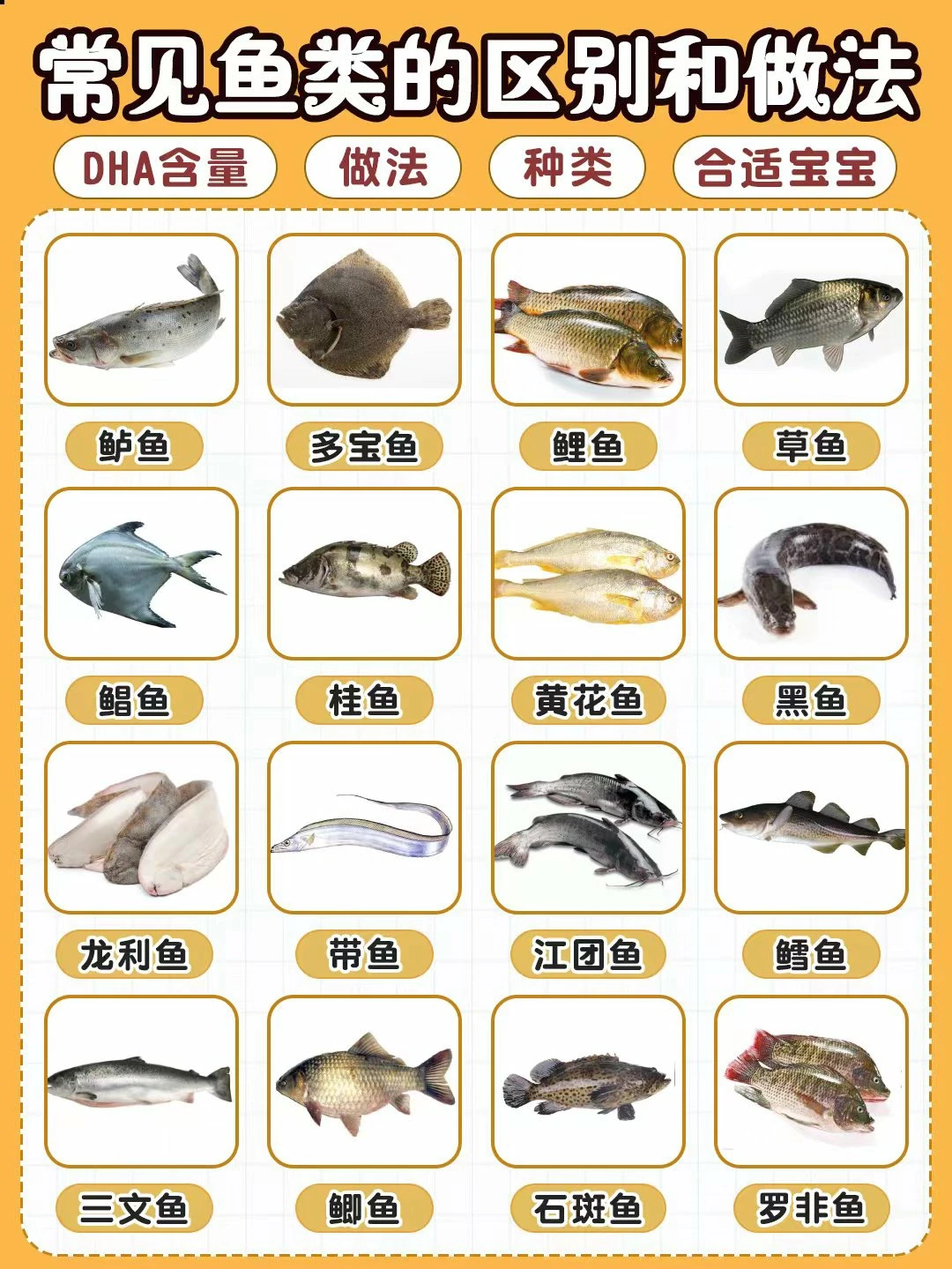 鱼类科普大全‼️鱼类区别及DHA营养价值！