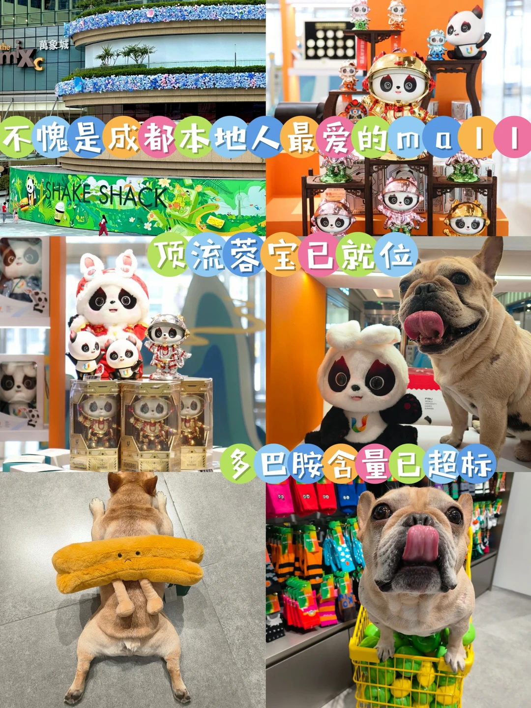 不愧为成都人最爱的mall，顶流蓉宝已就位