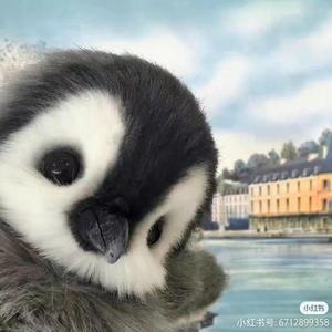 勇往直前的小手冰凉