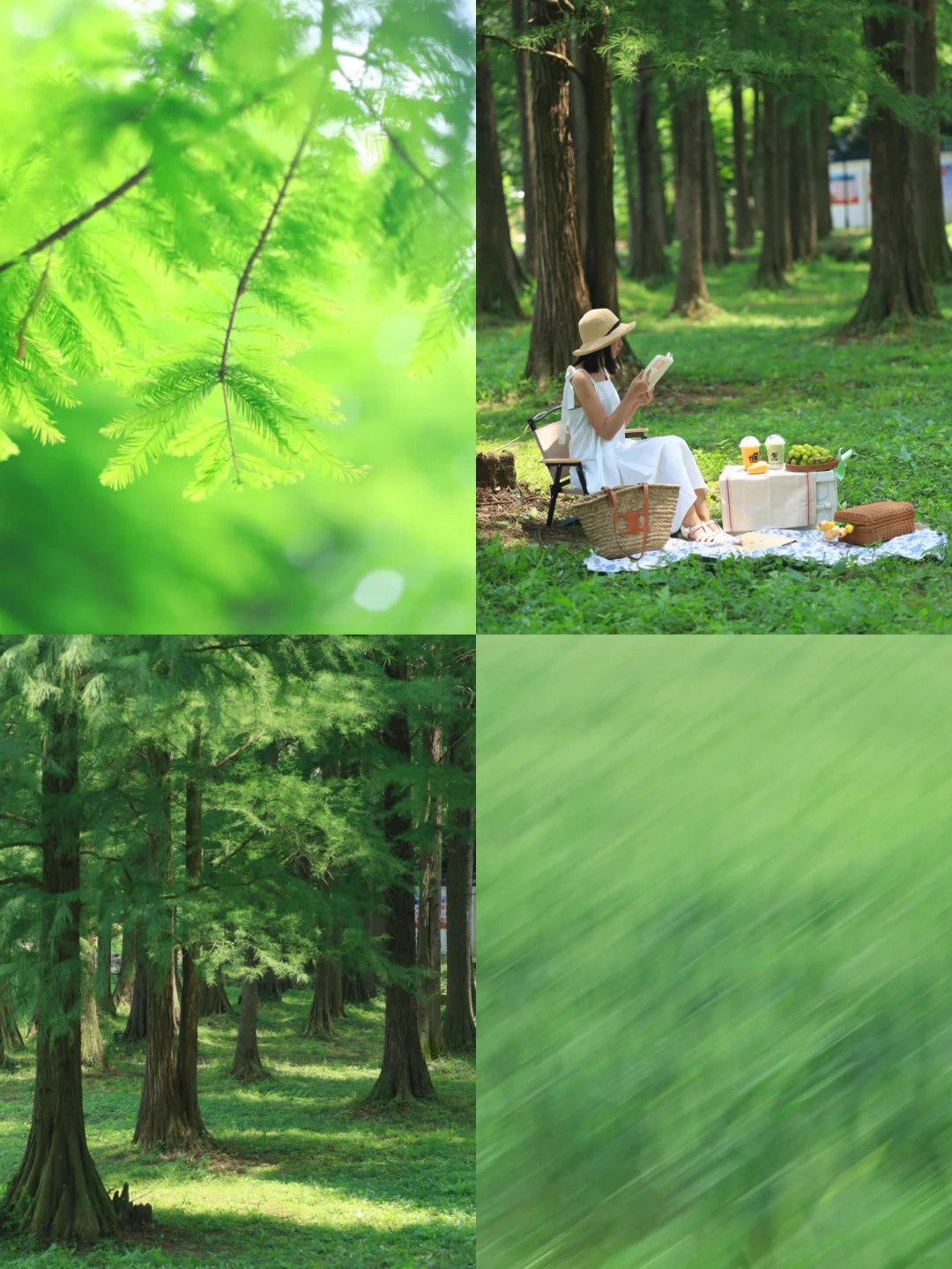 武汉野餐/我私藏的绿野仙踪秘境❗️值得N刷