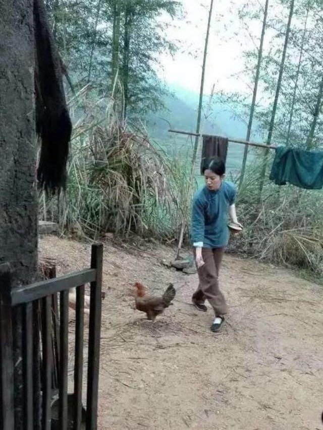 刘亦菲演的农村妇女在喂鸡，总感觉哪里不太对。 导演是不是忘了，喂鸡哪有追着鸡喂的！都是直接撒地上，鸡自己知道吃，你只需要说一句“咕咕”。 ​