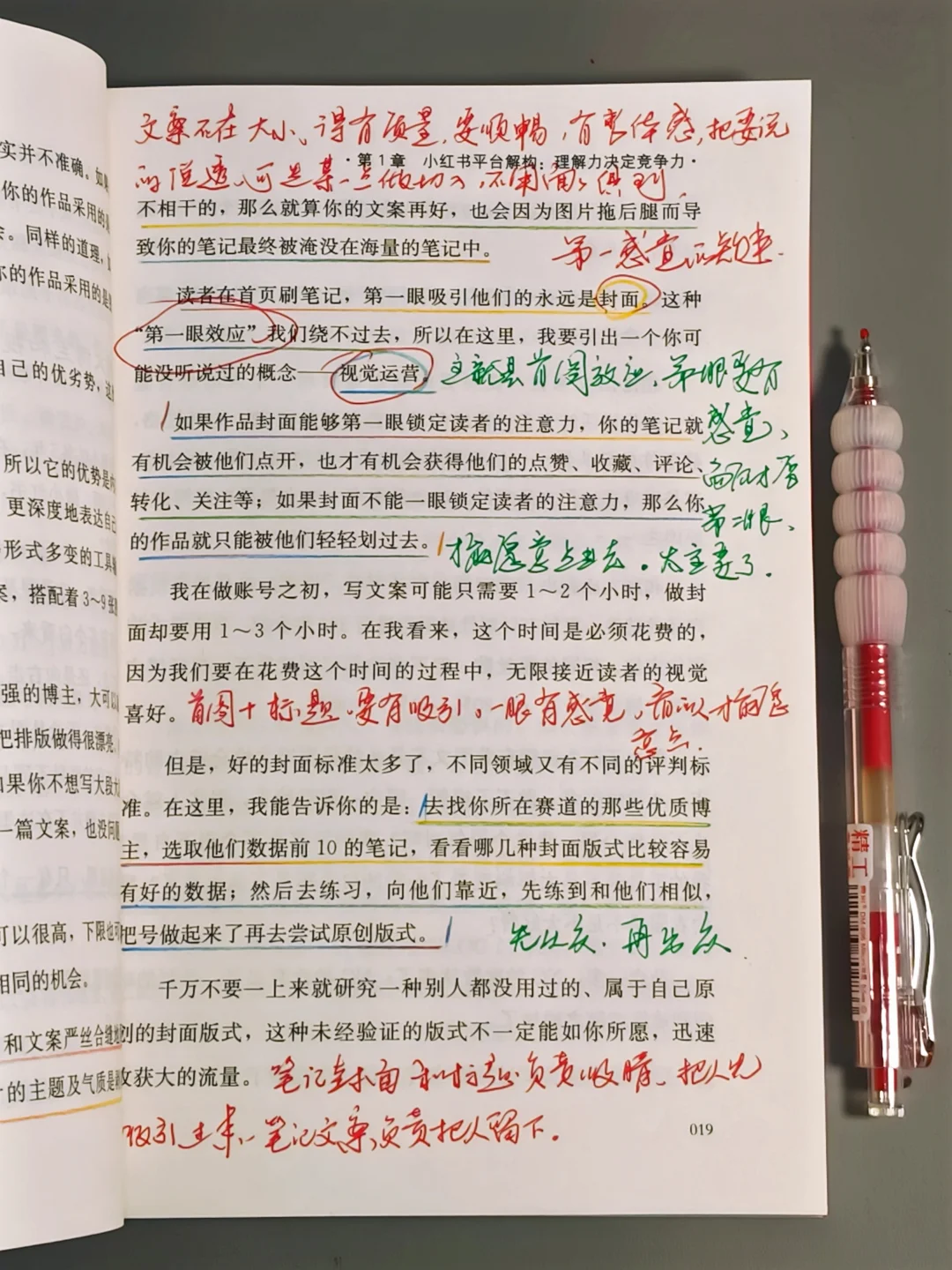 🔥半年涨粉1.9 W，我到底做对了什么？