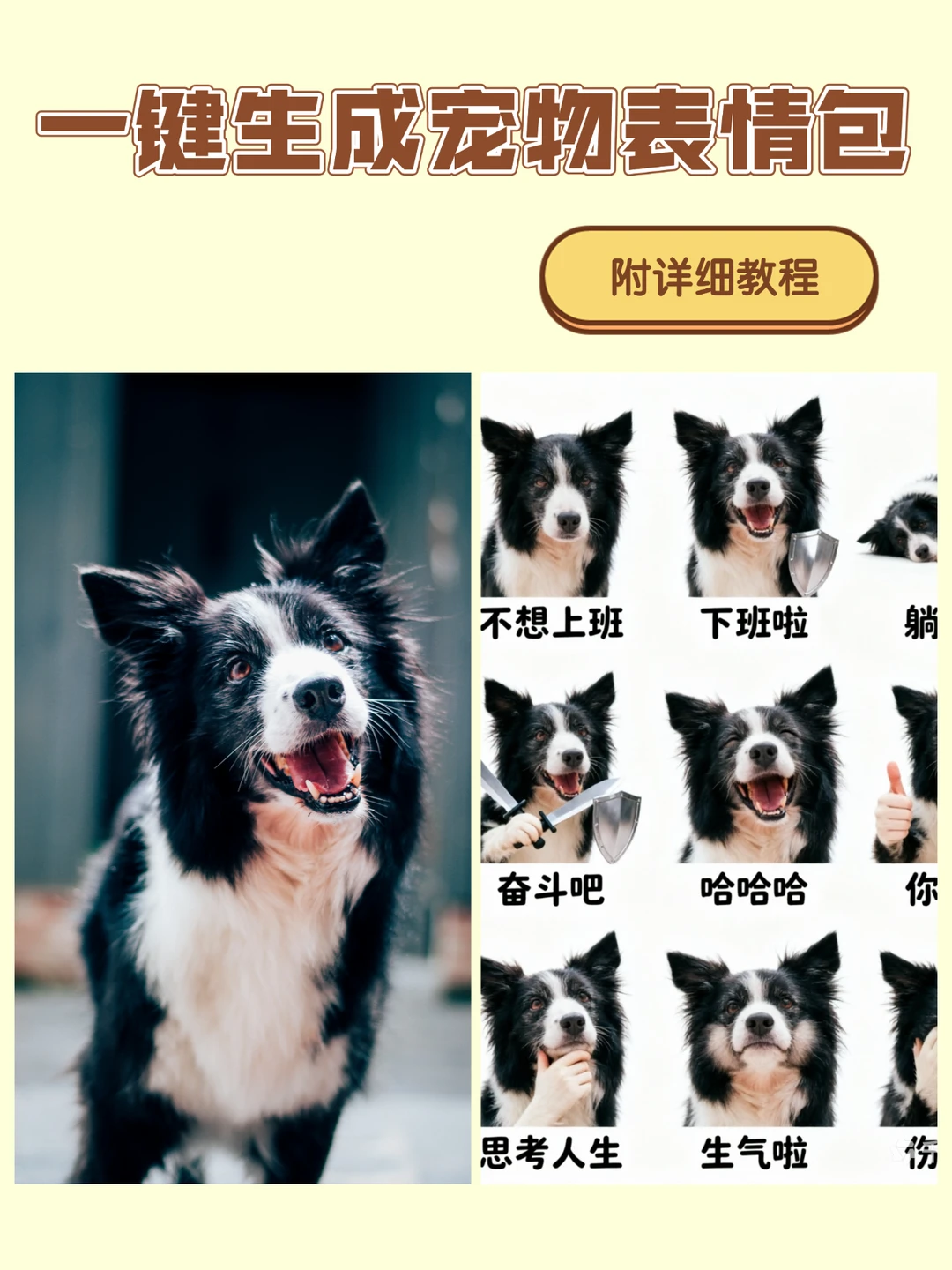 养宠人狂喜！AI自制毛孩子表情包✨