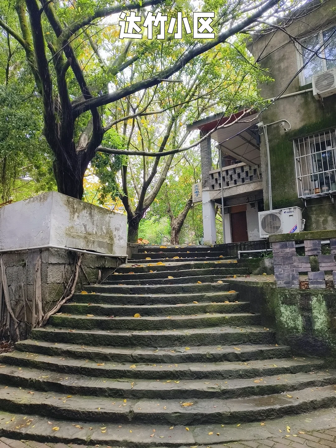【达州】黄桷老树青石阶梯长廊凉亭真治愈
