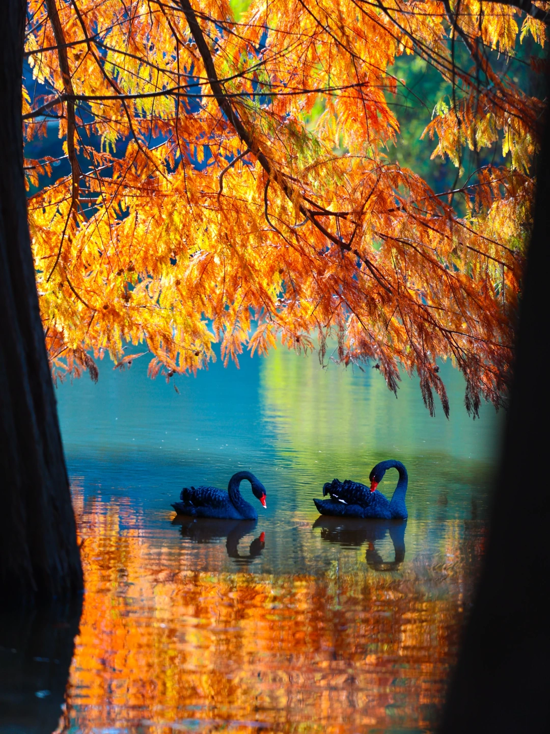南京最好的东西都是免费的！！（📍附地址