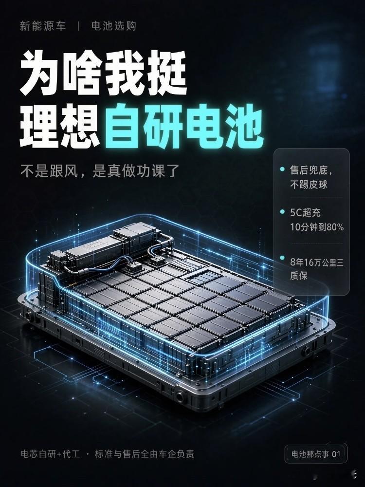 中国9大电池生产商:
1：宁德时代
2：比亚迪
3：中创新航
4：国轩高科
5：亿纬锂能
6:   理想
7:   蜂巢能源
8:   瑞浦兰钧
9:   欣旺达
理想为何坚持深度自研电池
2026年9月28日，理想汽车CEO李想发了一条长微博。
标题很直白：自研不是&34;去宁德化&34;。

很多人第一