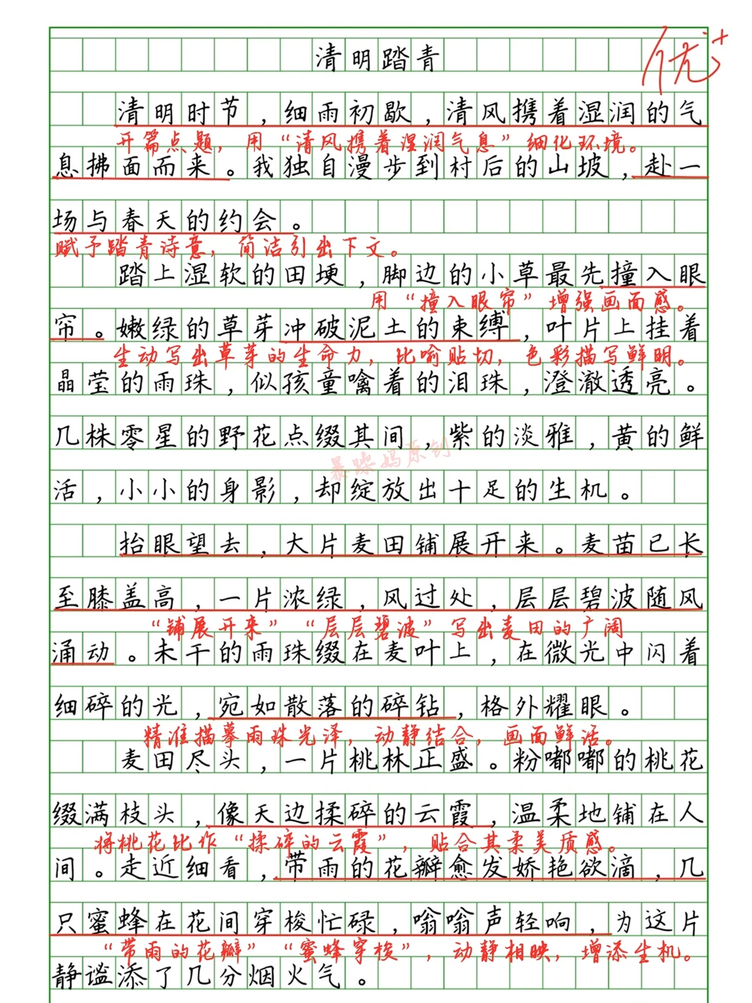 🔥小学生优秀作文批改《清明踏青》