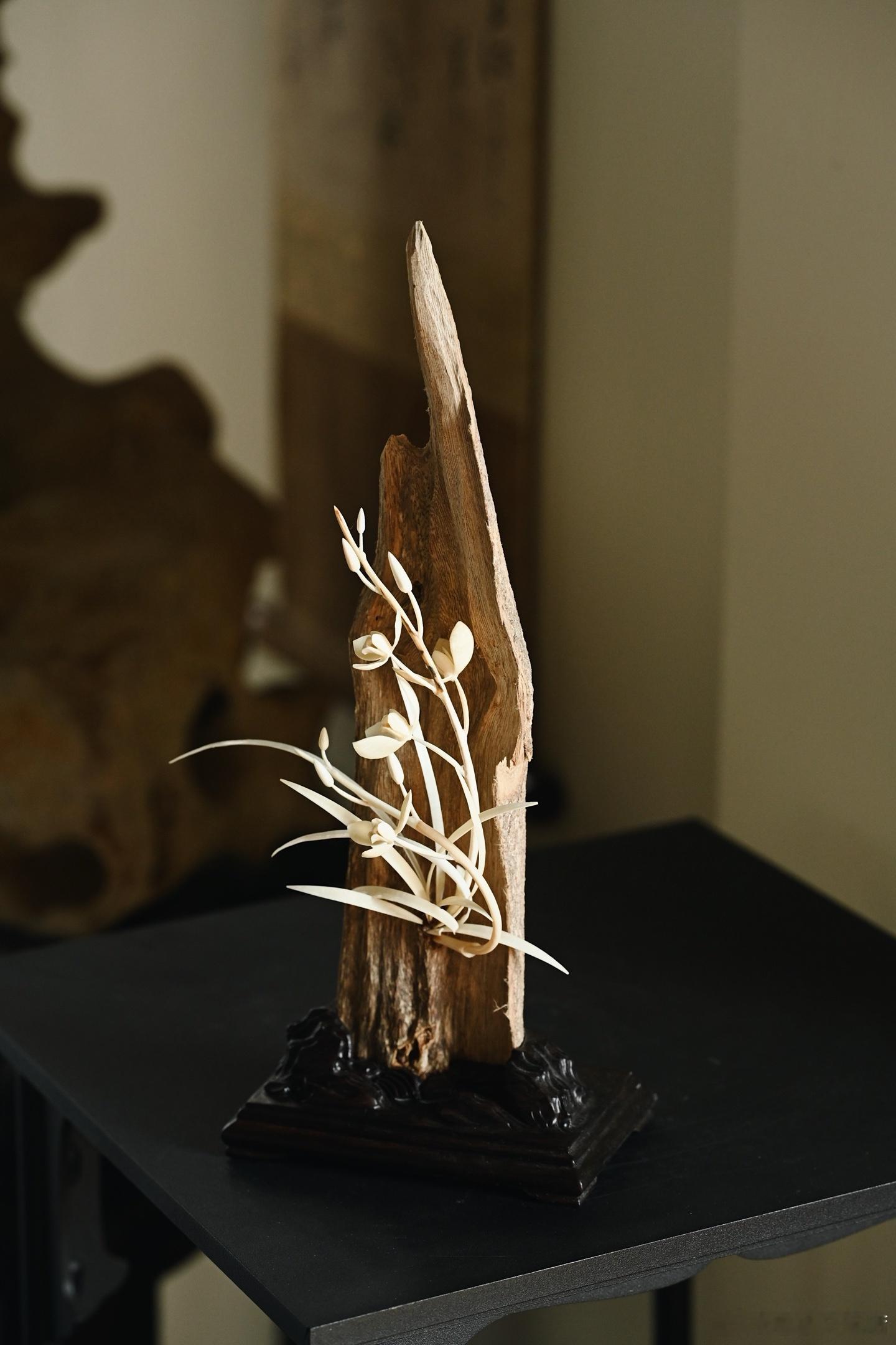 马来沉香x猛犸“幽岩兰语”摆件沉香原材苍朴，猛犸雕幽兰，花叶纤秀，姿态悠然，有空谷幽兰之意，文房清供，隽秀耐观。年轻人开始不买虚的了家居美学摆件 ​​​