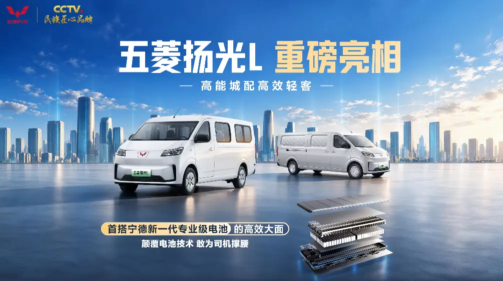 第一名，比亚迪；
第二名，特斯拉；
第三名，吉利汽车；
第四名，上汽通用五菱；
第五名，零跑汽车。

能冲进全球前五的国民品牌五菱，这次带着全新上市的扬光L，实打实站在城配司机这边，8.68万元起的亲民定价，直接把“敢为司机撑腰”的承诺落