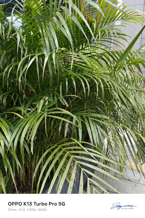 不经意间