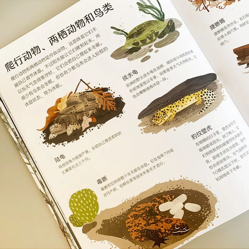 冬天来了，春天还会远吗？