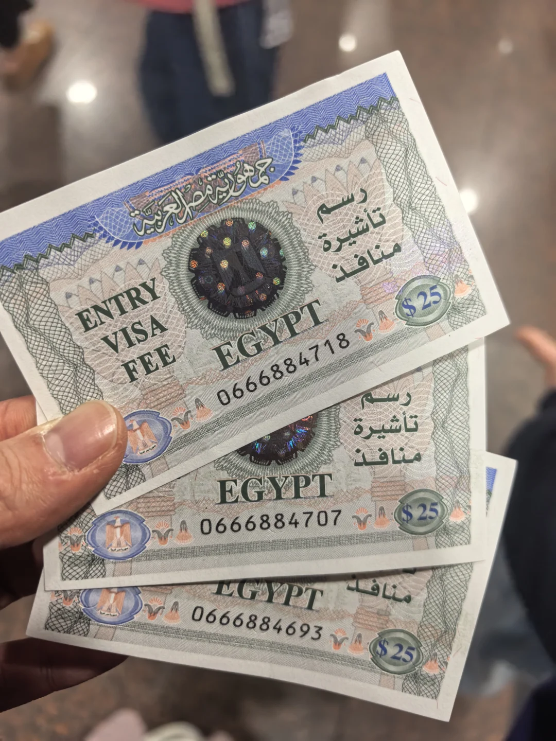 埃及入境,铁腚终于到达