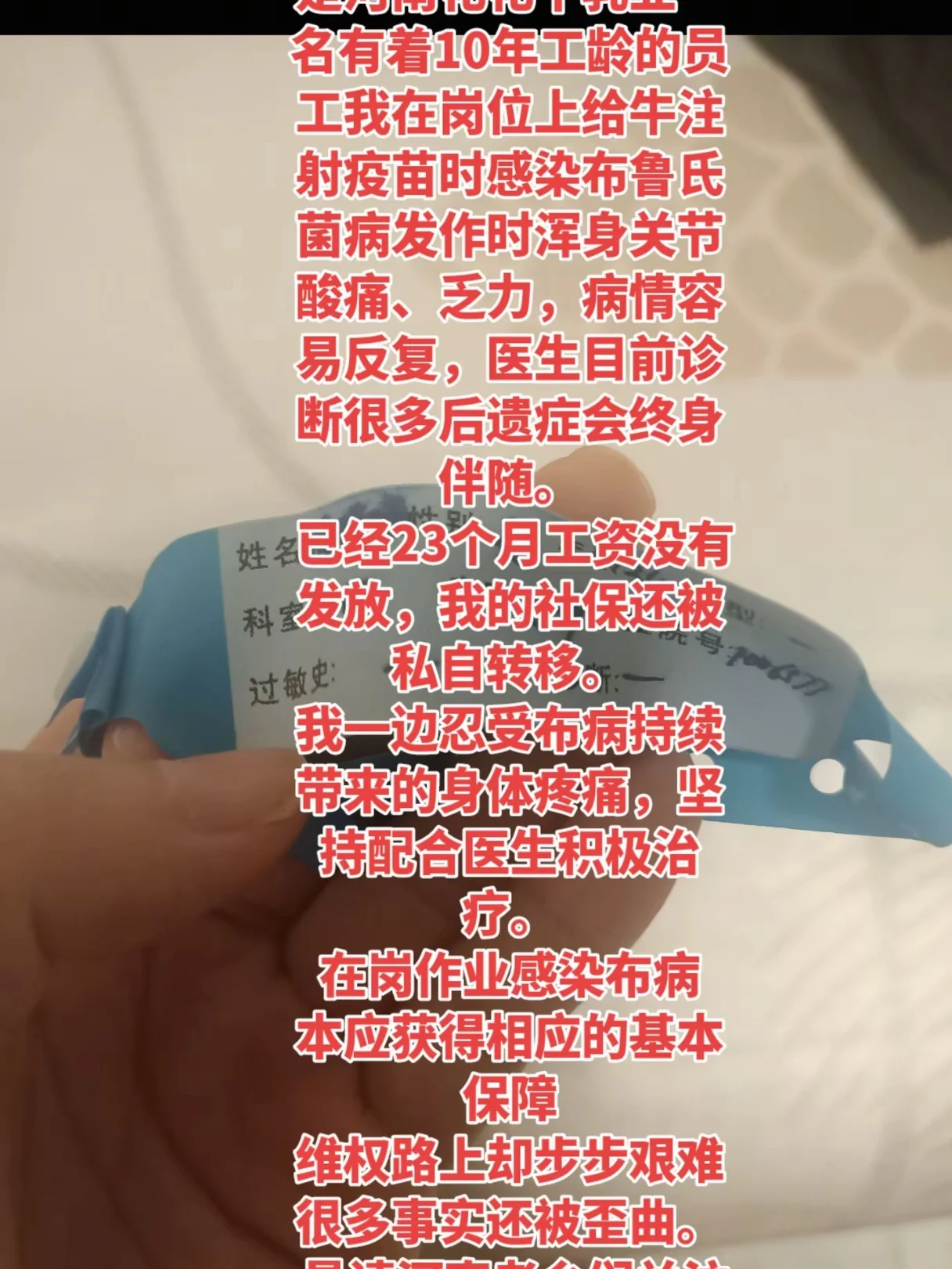 布病？