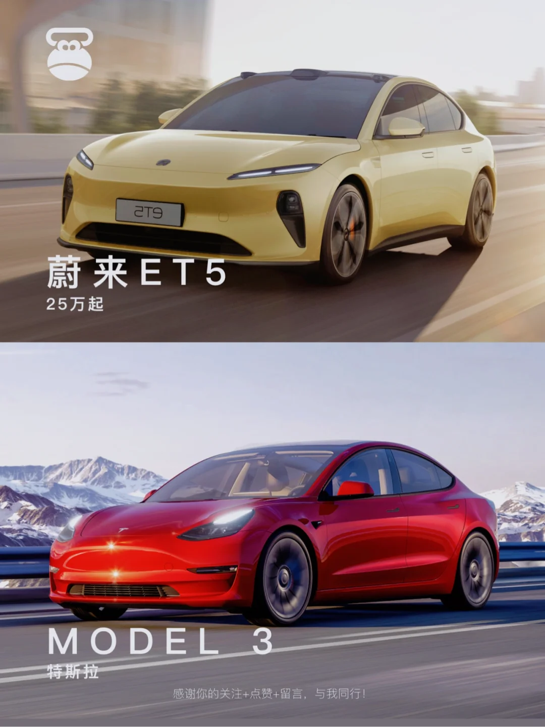 【一图流】30万级新能源轿车怎么选？