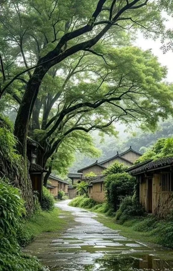 对兄弟姐妹掏心掏肺的人，最后都输了：一贱破九贵，亲情要带刺