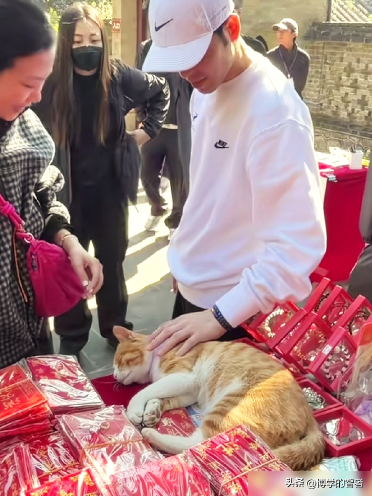 萧敬腾喂狗，单膝跪地，把烤肠吹凉了才递过去。
没扔地上，没摆拍，一边撸猫一边喂狗，在大孤山被网友偶遇。旁边站着林有慧，两人看猫看狗，腿都迈不动。
这不是第一次。家里十多个猫狗，全是收养的。去年上海捡了只流浪小狸花，取名绮绮，检查、绝育、带回了台北。
一个歌手喂狗前先吹凉，怕烫着它。
对不会说