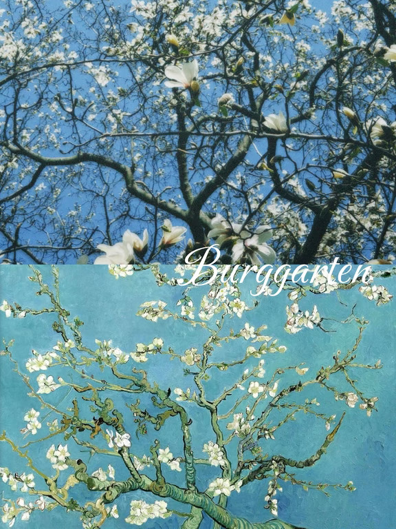 3.20维也纳｜原来梵高🎨画里的春日🩵是真的