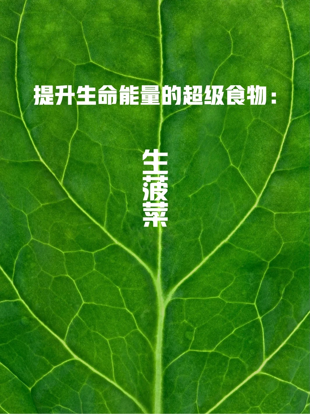 宇宙疗愈食物之：生菠菜