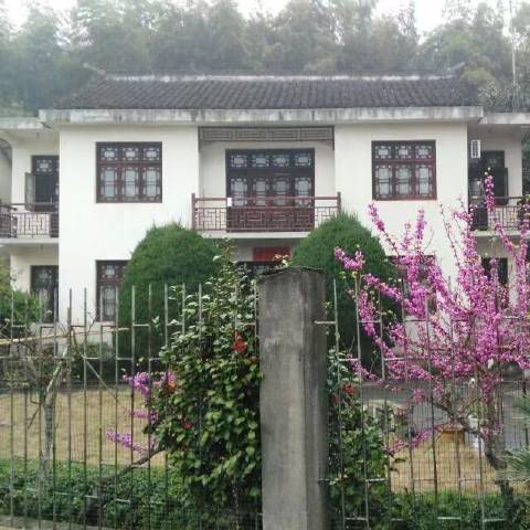 心船的视野