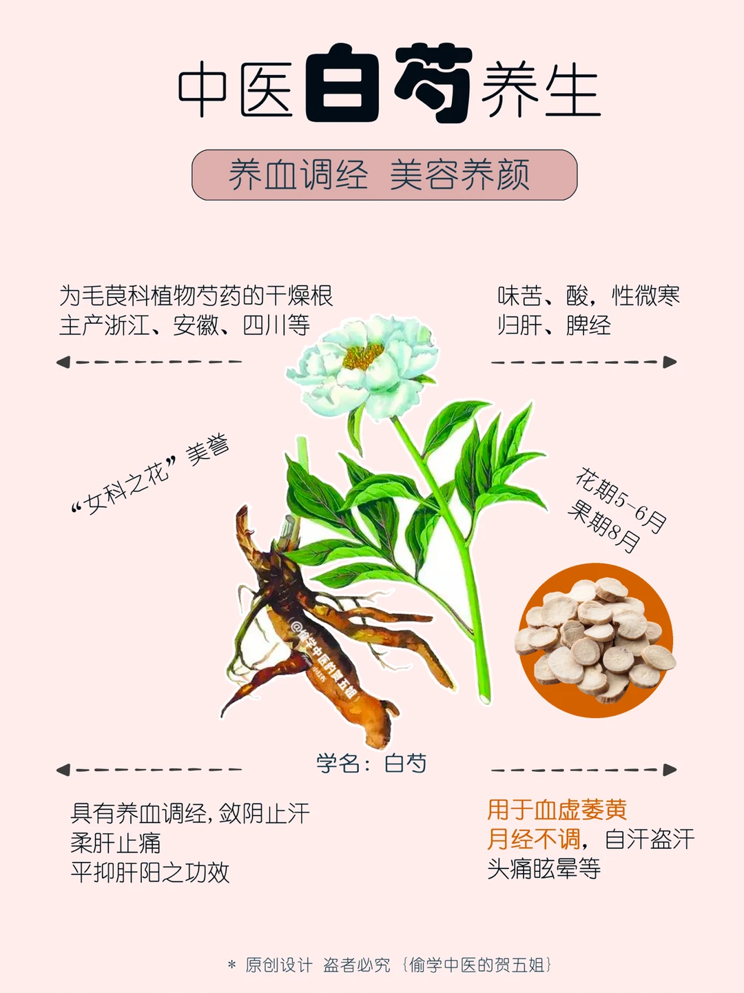 03养生课堂📝白芍🌿素颜肌冷白皮👸🏻喝它