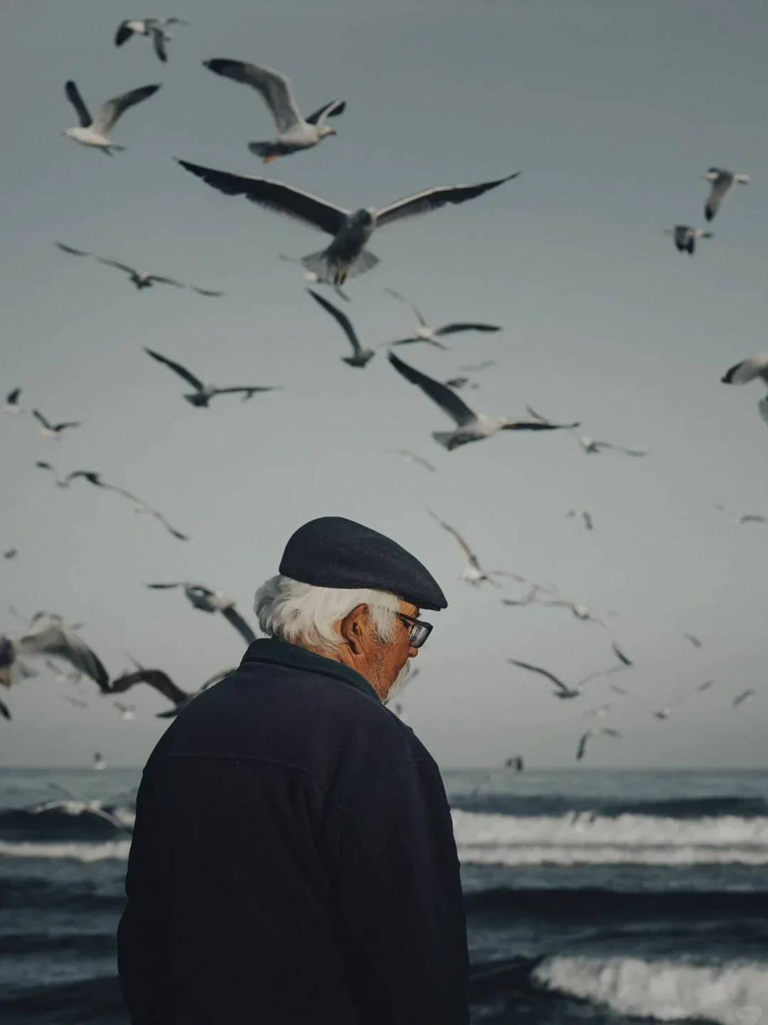 Filipe Pinhas的镜头太会讲故事了！”