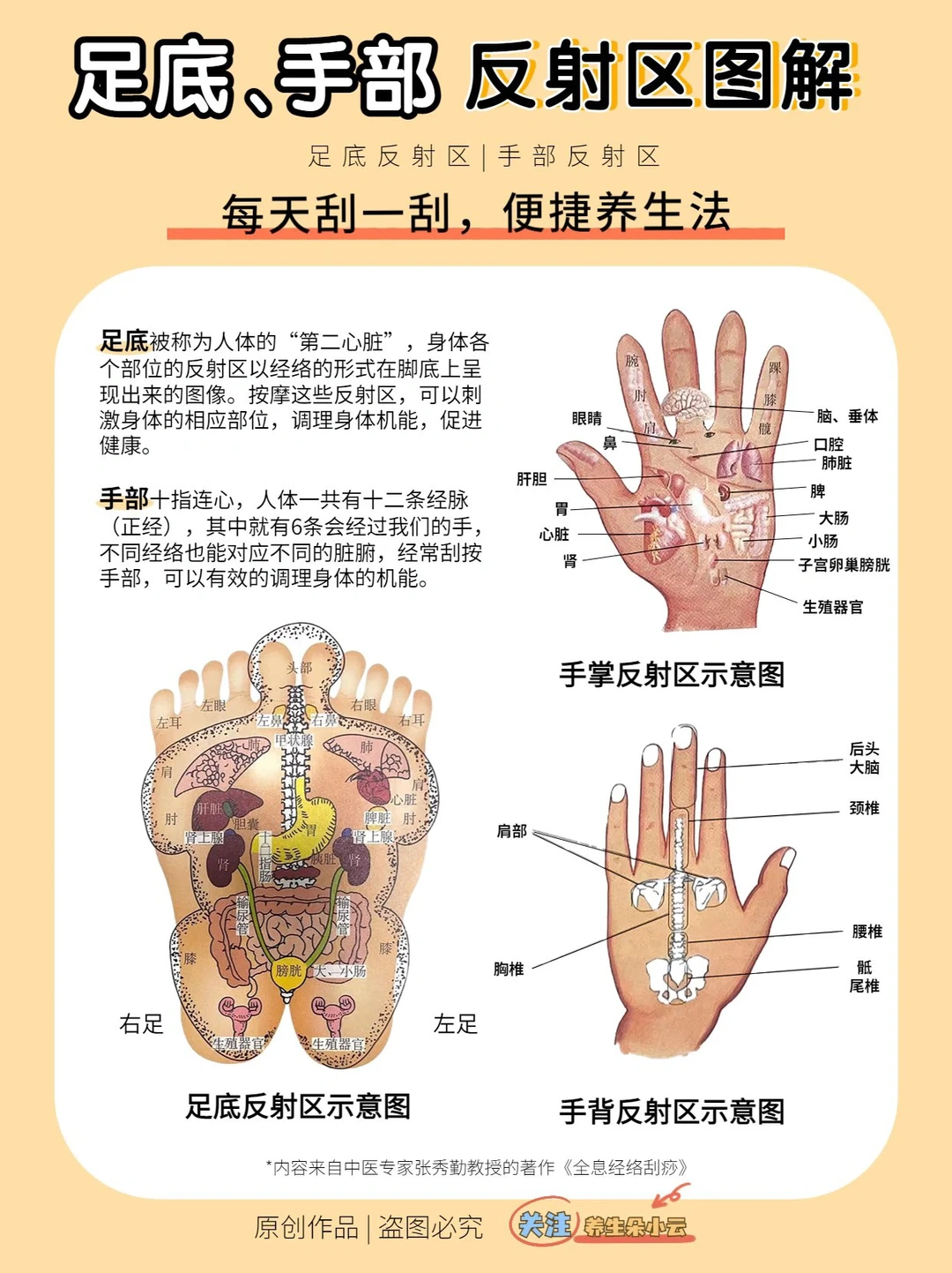 📒中医笔记 | 足底手部✋🦶反射区图解