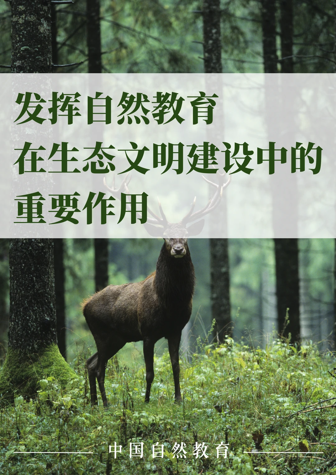 科普知识｜自然教育在生态文明建设中的作用