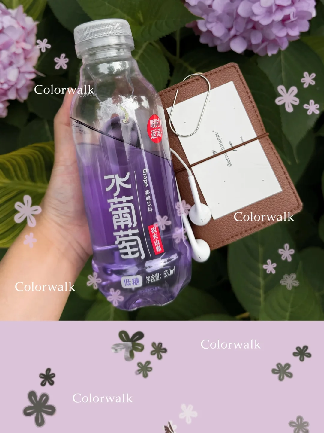 🍇等了8年，淡人的白月光回归了…🍧