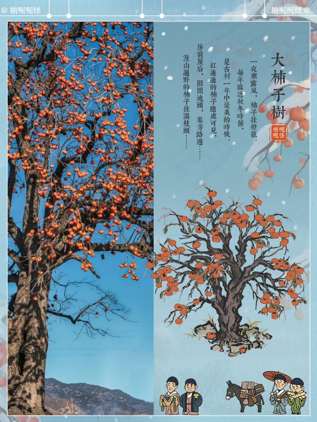 柿子丰收的季节，也是农家粮食满仓的时节