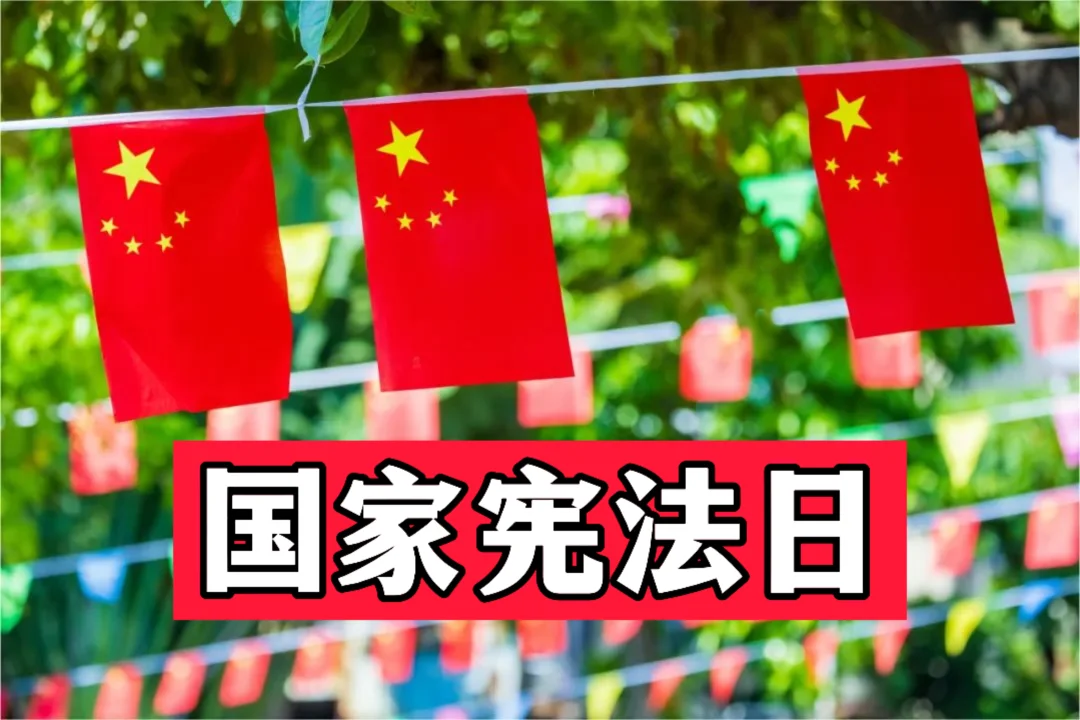 体制内：宪法宣传周通讯稿