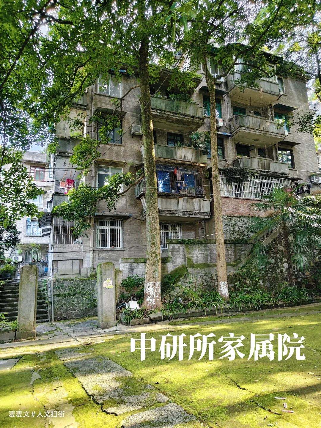 【南岸】静谧又治愈的中药研究院家属区
