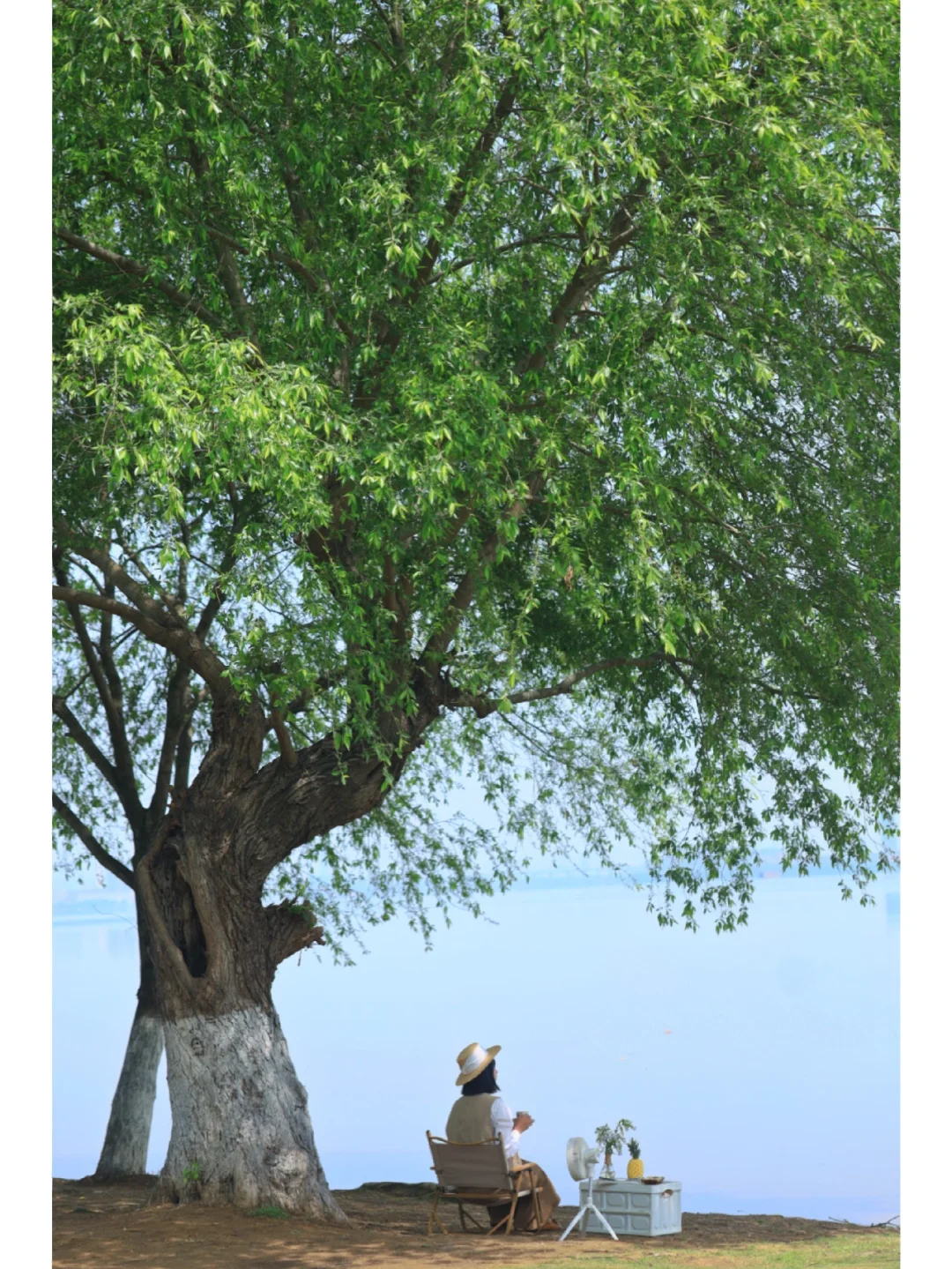 武汉市内独享海景私藏露营地❗️25min直达