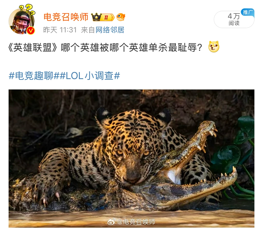 英雄联盟小调查