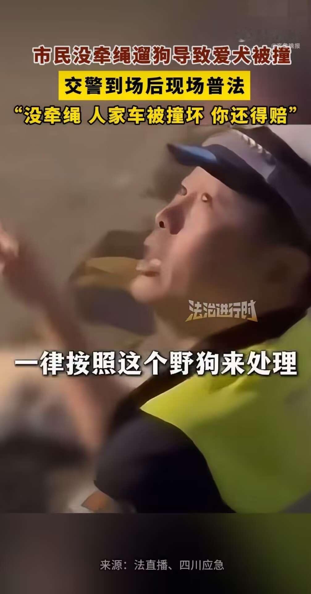 最近，“狗没牵绳被撞死，交警处理结果获赞”这个话题引起了很多人的讨论。事情发生在江苏，一位市民遛狗的时候没有牵绳，小狗突然跑到马路上，被一辆正常行驶的车撞死了。狗主人拦住车主想要索赔，车主没办法，只好报了警。

交警到了现场之后，没有和稀泥，而是直接当场讲清楚了法律规定。交警说得很明白：如果狗是牵了