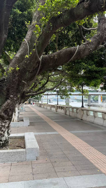 嘻嘻 美美的