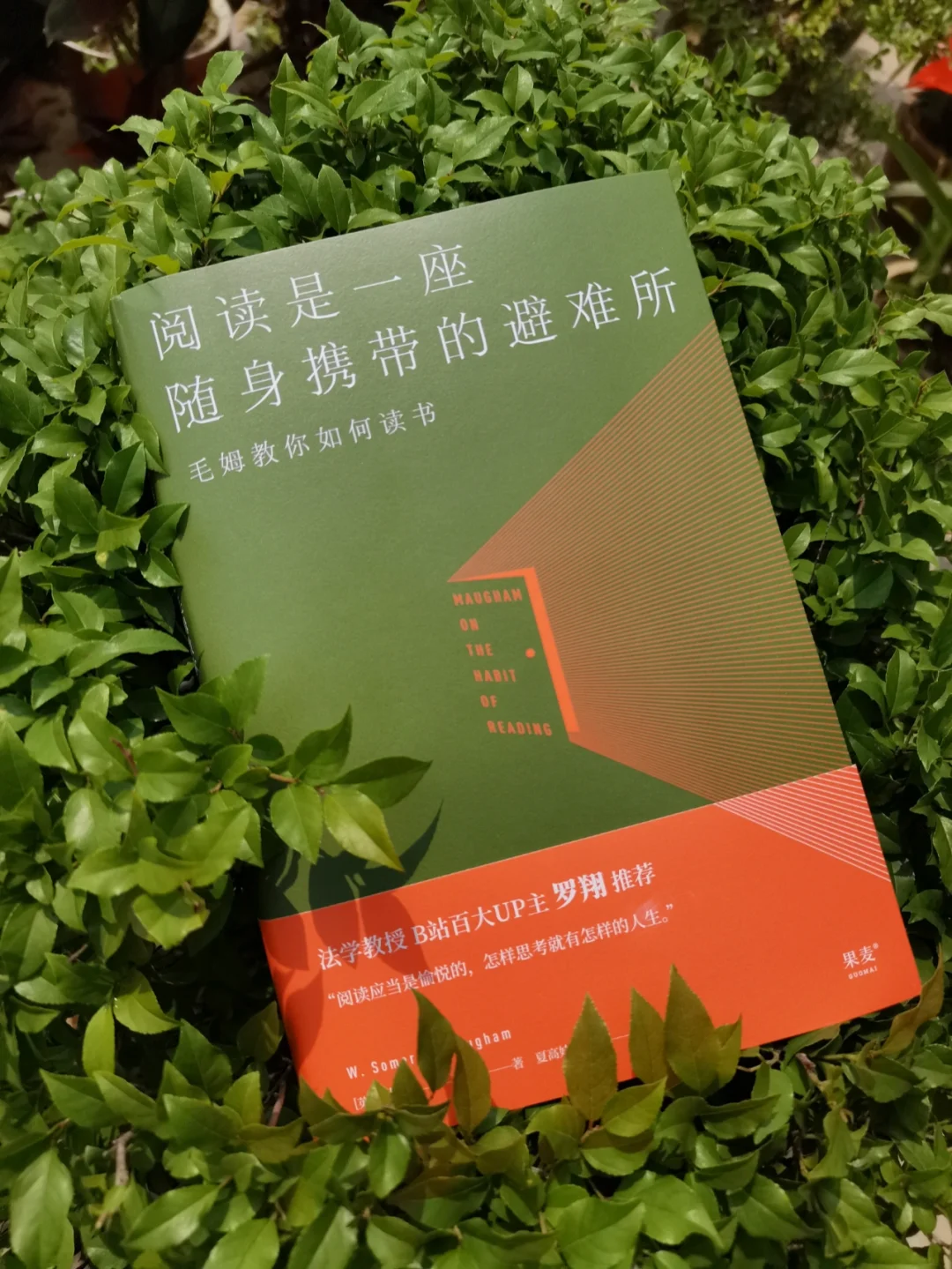 掏心窝的干货‖这才是读书的正确方法